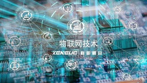 北京物聯(lián)網開發(fā)與網絡技術服務公司概覽